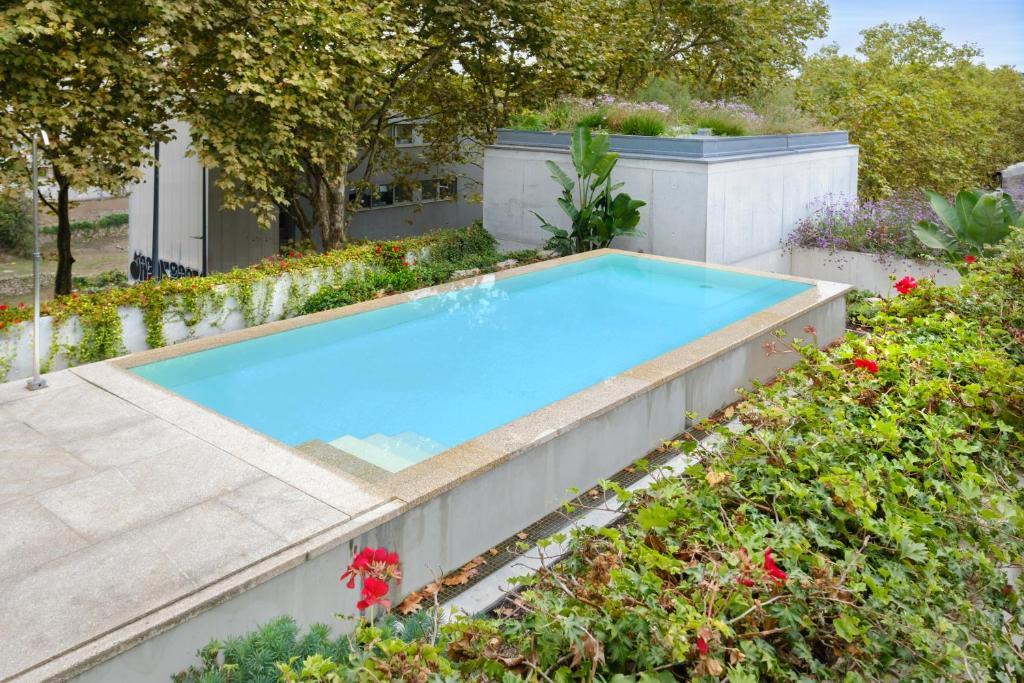 The pool at Reframe Stay, set within a walled garden 1